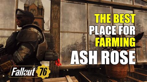 Fallout 76 ash rose - Ash Rose in Fallout 76 can be found in locations like Lewisburg and Silva Homestead. The best place to find Ash Rose is in the Ash Heap, particularly around Welch or the entrance to...